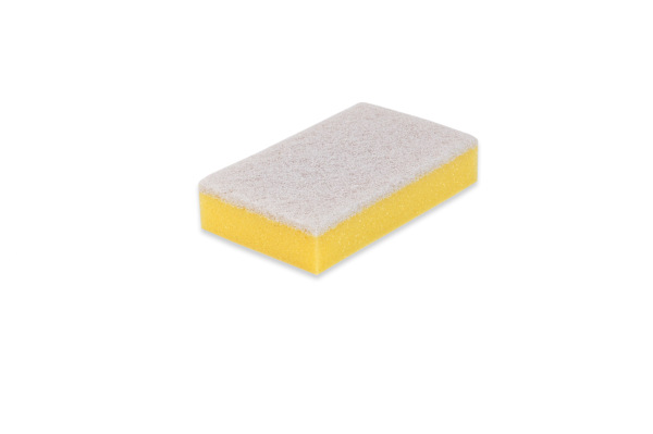 Sponge with Scourer