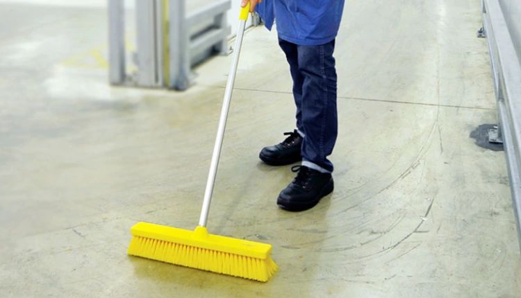 Hillbrush