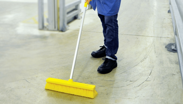 Hillbrush